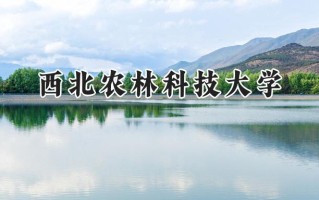 2024西北农林科技大学录取分数线：新疆最低486分