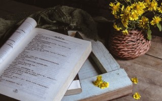 山东高考415分左右上什么大学好？2025年高考好学校推荐