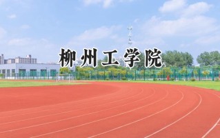 2024柳州工学院录取分数线：江苏最低462分