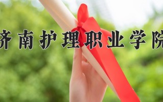 2024年济南护理职业学院录取分数线，河北最低437分