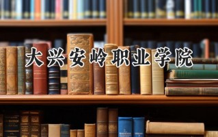 2024大兴安岭职业学院录取分数线：陕西最低342分