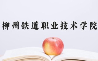 2024年柳州铁道职业技术学院录取分数线，新疆最低230分