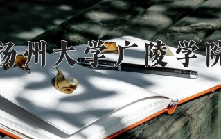 2024扬州大学广陵学院录取分数线：浙江最低480分