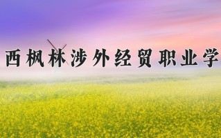 2024年江西枫林涉外经贸职业学院录取分数线，河北最低248分