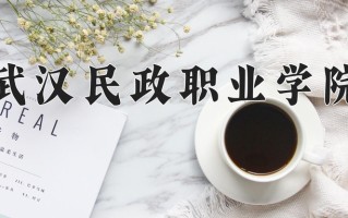2024武汉民政职业学院录取分数线：浙江最低398分