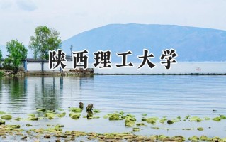 陕西理工大学2024在青海录取分数线是多少？最低398分/最高505分