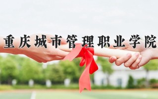 2024年重庆城市管理职业学院录取分数线，新疆最低271分