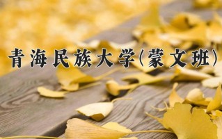 2024年青海民族大学(蒙文班)录取分数线，青海最低301分