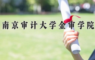 2024年南京审计大学金审学院录取分数线，新疆最低374分