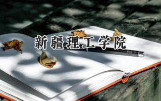新疆理工学院2024在上海录取分数线是多少？最低405分/最高417分