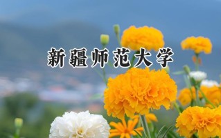 新疆师范大学2024在山东录取分数线是多少？最低456分/最高538分