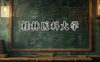 桂林医科大学2024在浙江录取分数线是多少？最低484分/最高595分