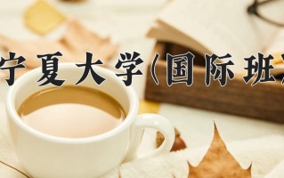 2024年宁夏大学(国际班)录取分数线，宁夏最低432分