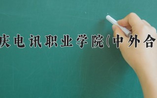2024重庆电讯职业学院(中外合作)录取分数线，重庆录取最低分282