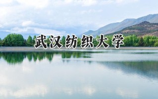 武汉纺织大学2024在江苏录取分数线是多少？最低531分/最高545分