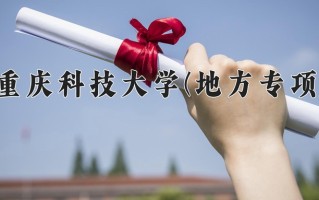 2024重庆科技大学(地方专项)录取分数线，重庆录取最低分516