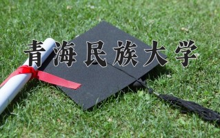2024年青海民族大学录取分数线，宁夏最低417分
