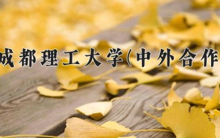 2024年成都理工大学(中外合作)录取分数线，内蒙古最低501分