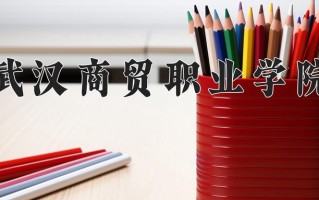 2024武汉商贸职业学院录取分数线：浙江最低394分