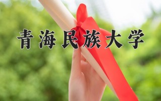 2024青海民族大学录取分数线：浙江最低488分