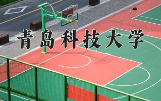 青岛科技大学好不好？附青岛科技大学最好的专业排名