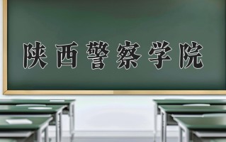 2024年陕西警察学院录取分数线，青海最低315分