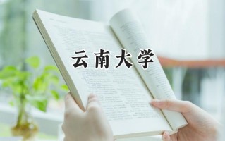 云南大学2024在内蒙古录取分数线是多少？最低519分/最高589分