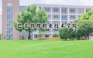 巴音郭楞职业技术学院2024在山东录取分数线是多少？最低286分/最高379分