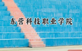 东营科技职业学院2024在山东录取分数线是多少？最低264分/最高382分