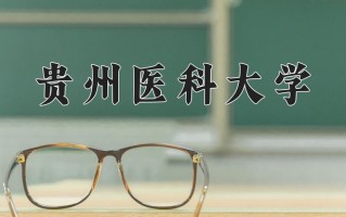 2025年河南高考467分可以上什么大学？附可以上的院校名单