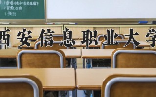 2024年西安信息职业大学录取分数线，宁夏最低285分