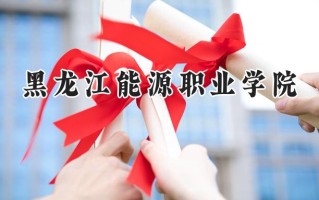 2024黑龙江能源职业学院录取分数线：陕西最低219分