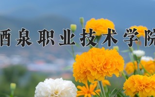 2024年酒泉职业技术学院录取分数线，宁夏最低339分