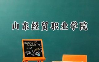 山东经贸职业学院2024在内蒙古录取分数线是多少？最低225分/最高329分