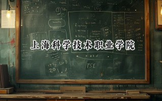 上海科学技术职业学院2024在青海录取分数线是多少？最低315分/最高352分