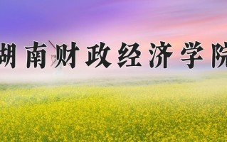 2024湖南财政经济学院录取分数线：浙江最低537分