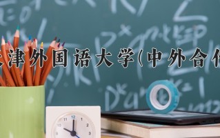 2024年天津外国语大学(中外合作)录取分数线，内蒙古最低486分