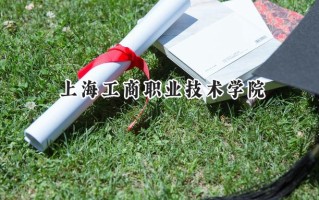 上海工商职业技术学院2024在江苏录取分数线是多少？最低263分/最高391分