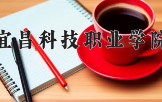 2024年宜昌科技职业学院录取分数线，新疆最低145分
