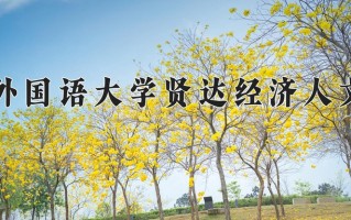 2025年陕西390分左右能报的大学名单