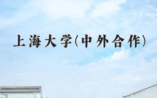 2024年上海大学(中外合作)录取分数线，内蒙古最低540分