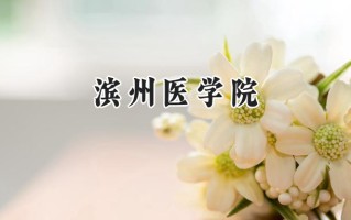 2024滨州医学院录取分数线：江苏最低507分