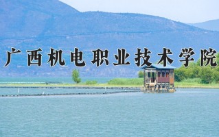 2024广西机电职业技术学院录取分数线：浙江最低408分