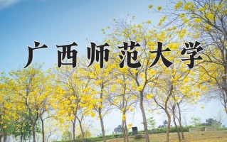 2025年河南高考453分可以上什么大学？附可以上的院校名单