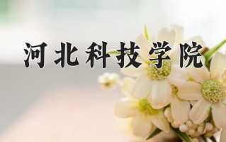 2025年黑龙江高考290分可以上什么大学？附可以上的院校名单