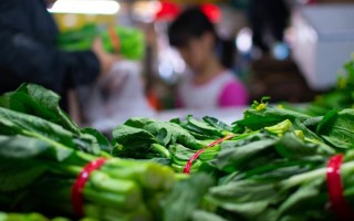 2026国考申论热点：特殊时期，不能赚昧良心的钱