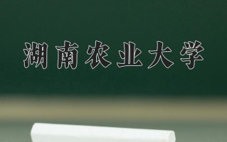 2024湖南农业大学录取分数线：浙江最低488分