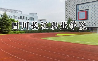 2024四川长江职业学院录取分数线：陕西最低207分
