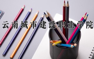2024云南城市建设职业学院录取分数线：浙江最低269分