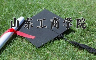 2024山东工商学院录取分数线：浙江最低491分